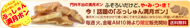 �Ղ����ゎ�����|��