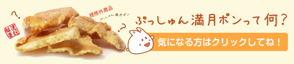 ぷっしゅん満月ポンって何?